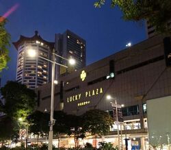 Lucky Plaza (D9), Shop House #636313281
